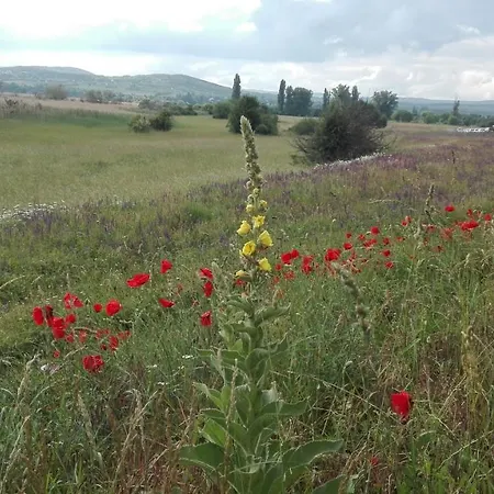 Peace & House In Tihany, Sajkod Holiday home