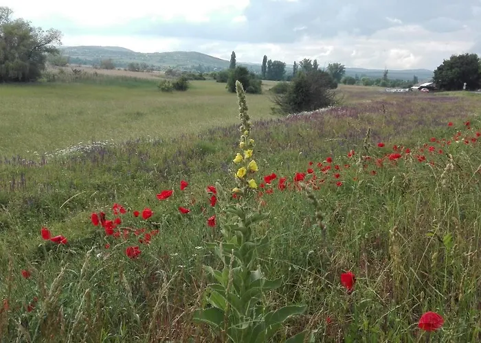 Peace & House In Tihany, Sajkod 度假居